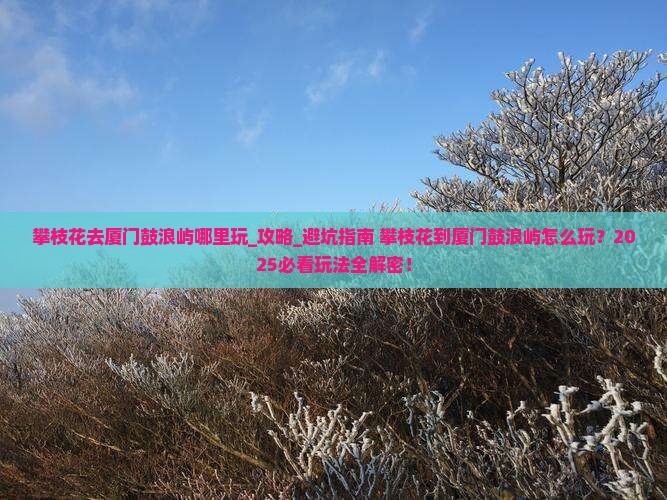 攀枝花去厦门鼓浪屿哪里玩