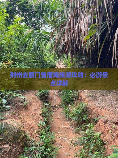 荆州去厦门曾厝埯哪里玩