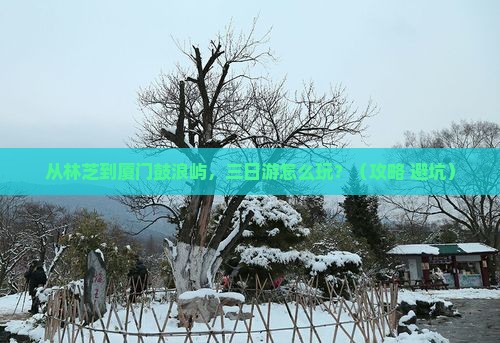 林芝去厦门鼓浪屿三日游