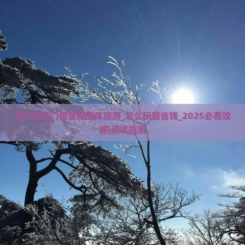 南宁去厦门南普陀团体旅游