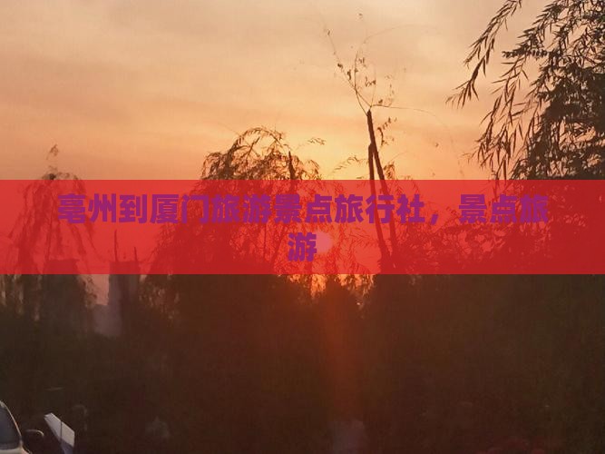 亳州到厦门毓园旅行社