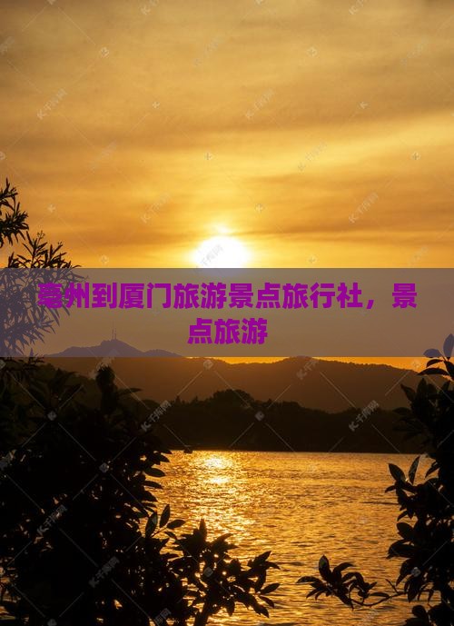 亳州到厦门毓园旅行社
