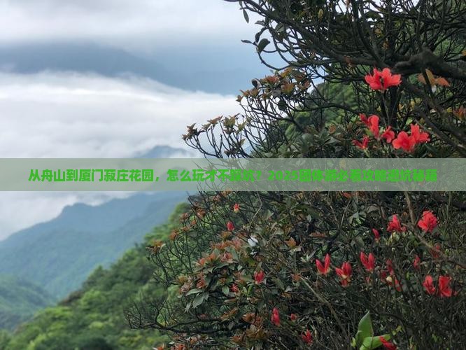 舟山去厦门菽庄花园团体旅游