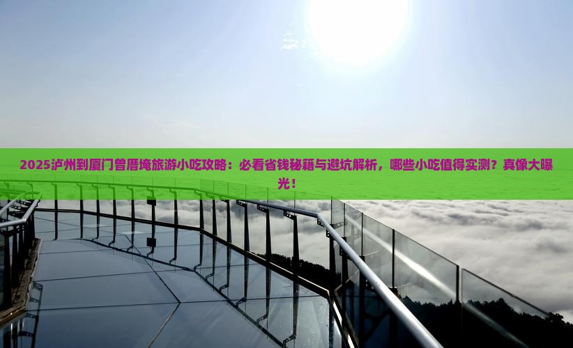 泸州到厦门曾厝埯旅游小吃