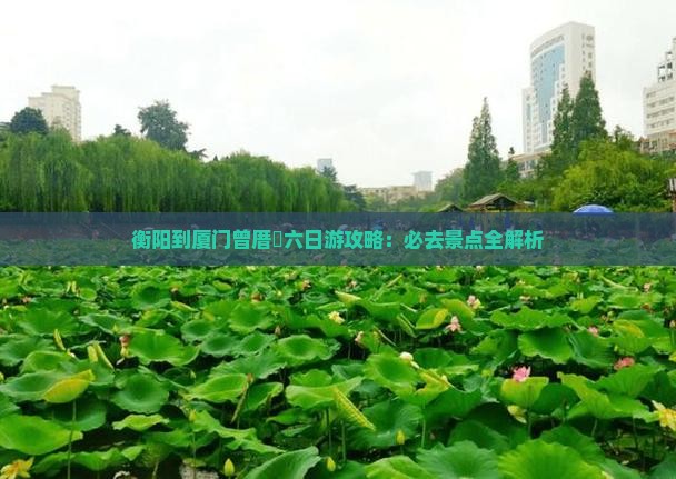 衡阳到厦门曾厝埯六日游