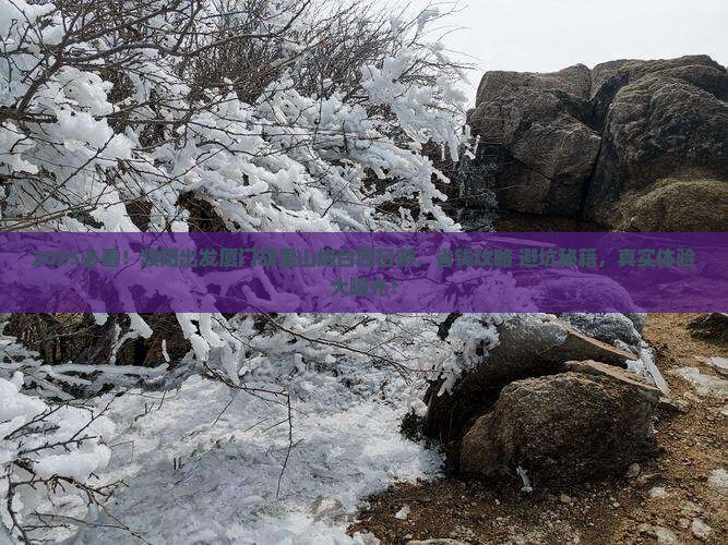 濮阳去厦门胡里山炮台四日游