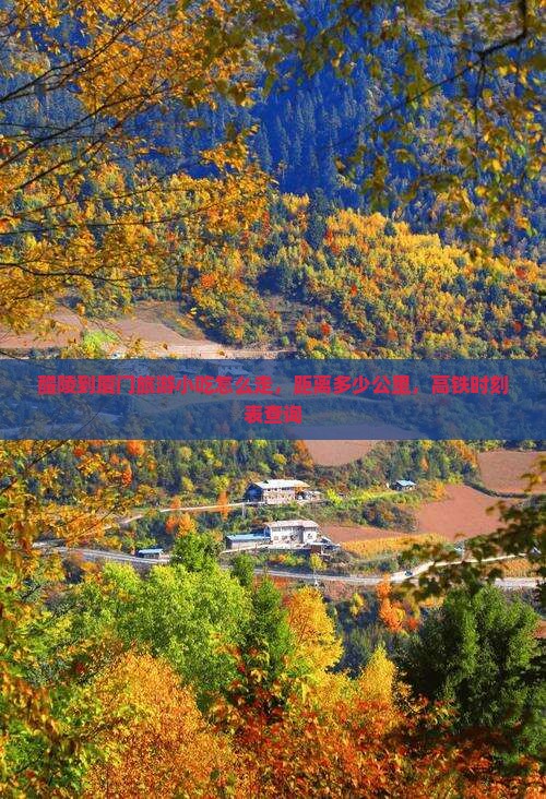 醴陵到厦门旅游小吃