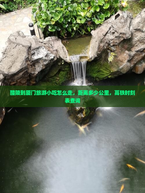 醴陵到厦门旅游小吃