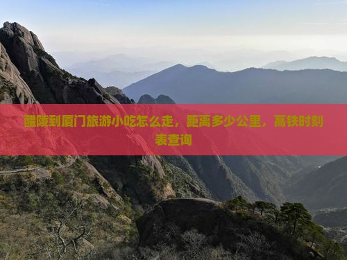 醴陵到厦门旅游小吃