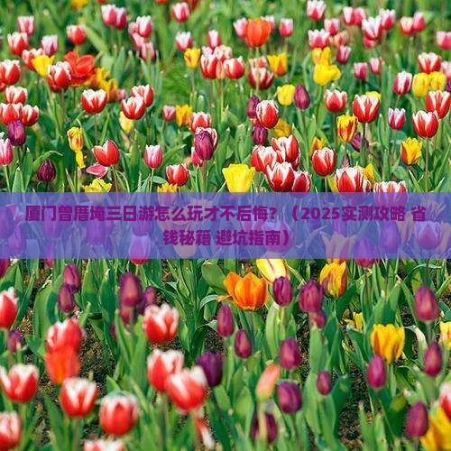 广安去厦门曾厝埯三日游