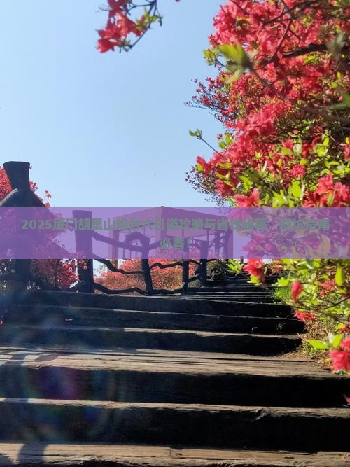 中山去厦门胡里山炮台六日游