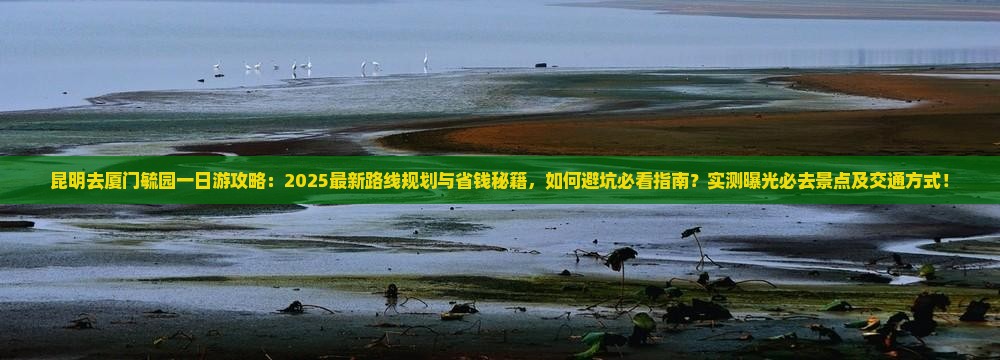 昆明去厦门毓园一日