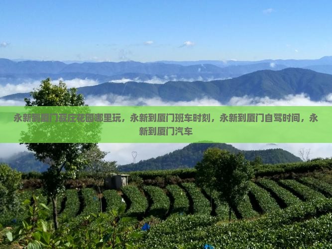 永新到厦门菽庄花园哪里玩
