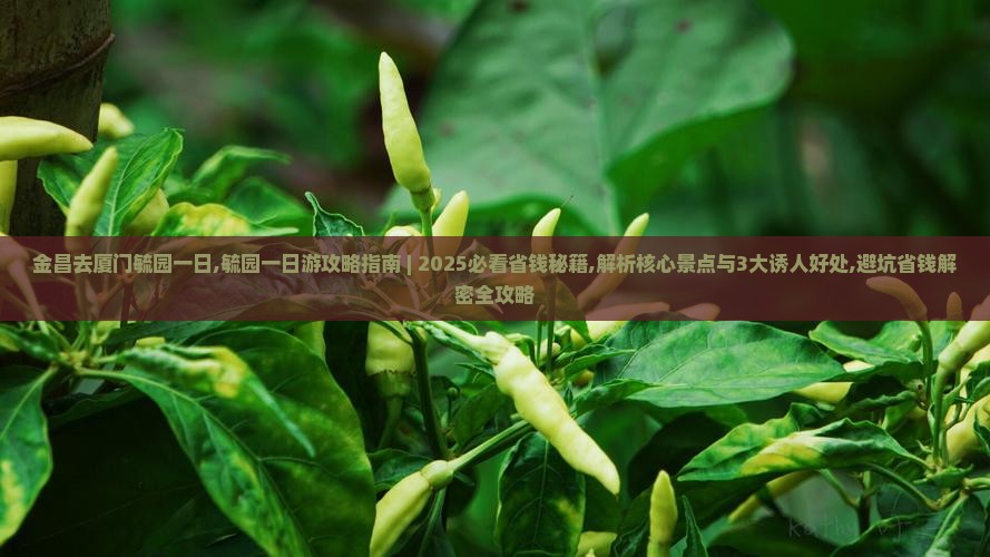 金昌去厦门毓园一日
