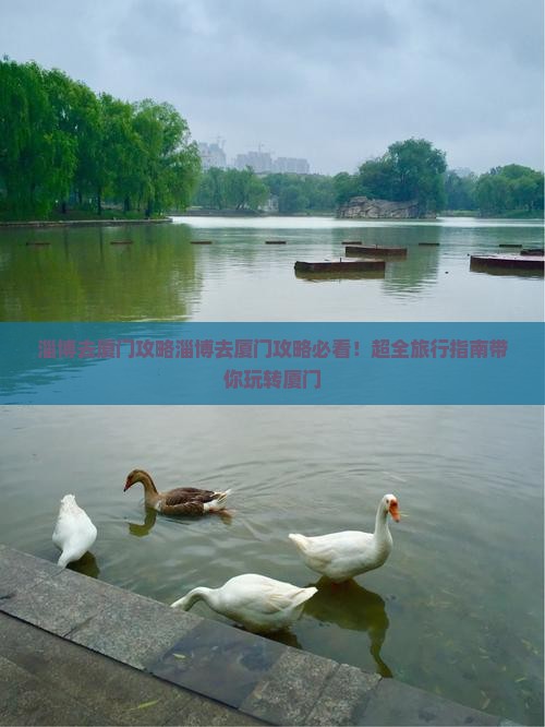 淄博去厦门攻略