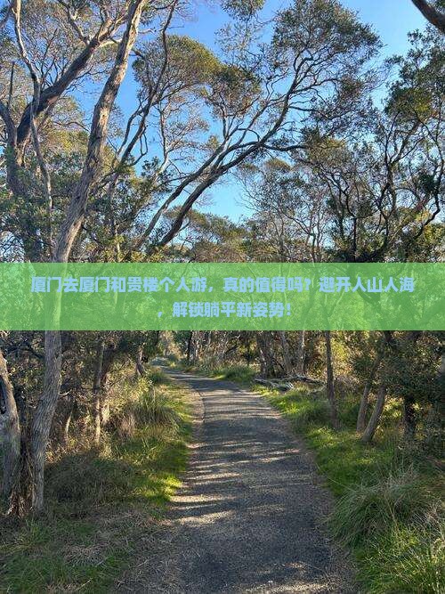 厦门去厦门和贵楼个人游