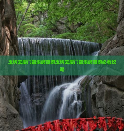 玉树去厦门鼓浪屿旅游