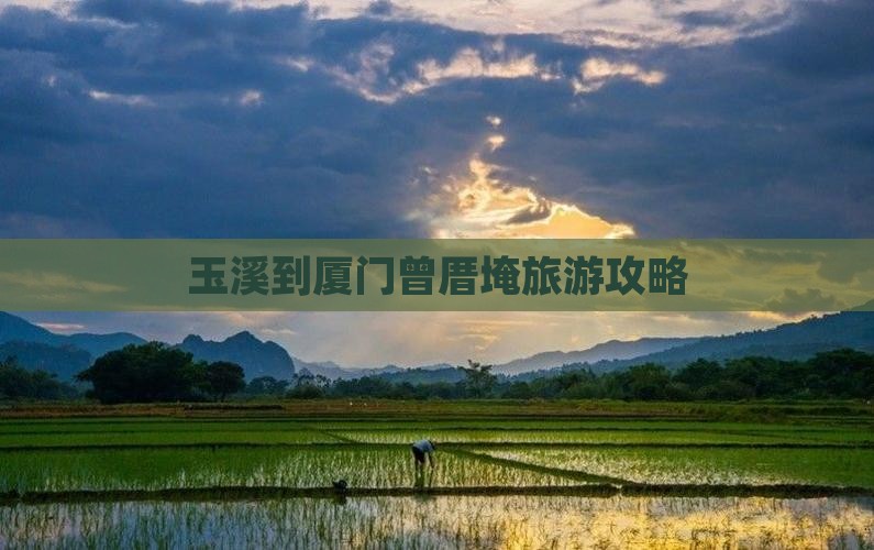 玉溪到厦门曾厝埯旅游