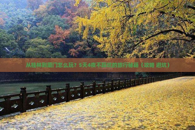 桂林去厦门旅游