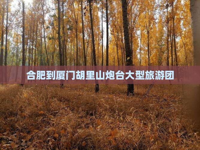 合肥到厦门胡里山炮台大型旅游团