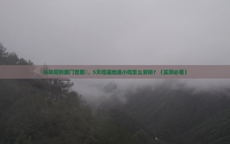 阜阳到厦门曾厝埯旅游小吃