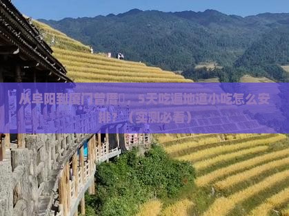阜阳到厦门曾厝埯旅游小吃