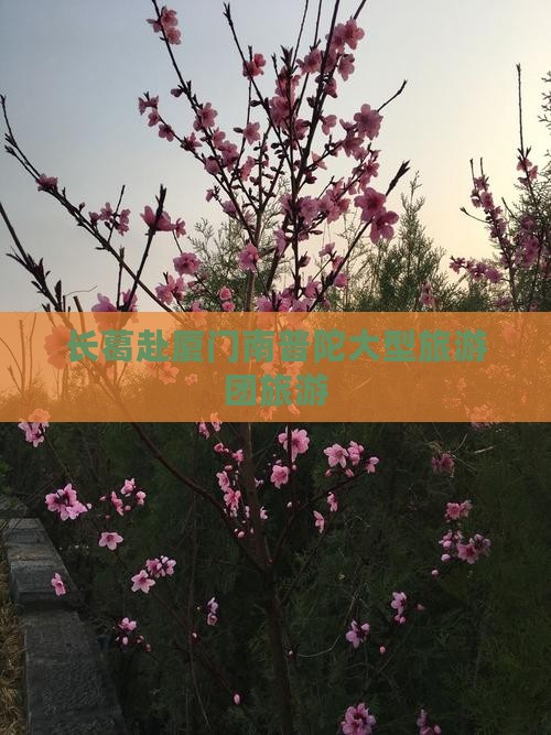 长葛去厦门南普陀大型旅游团
