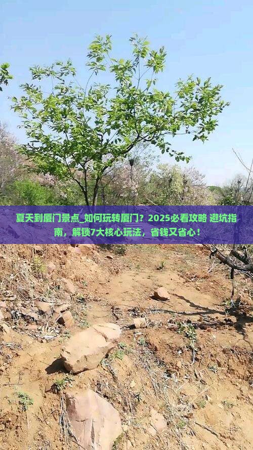 夏天到厦门景点