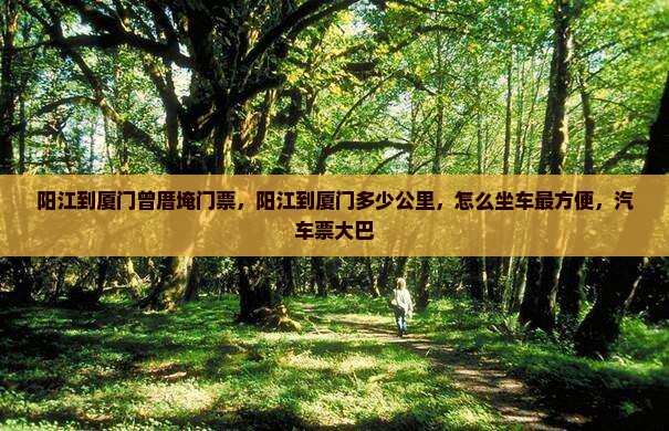 阳江到厦门曾厝埯门票