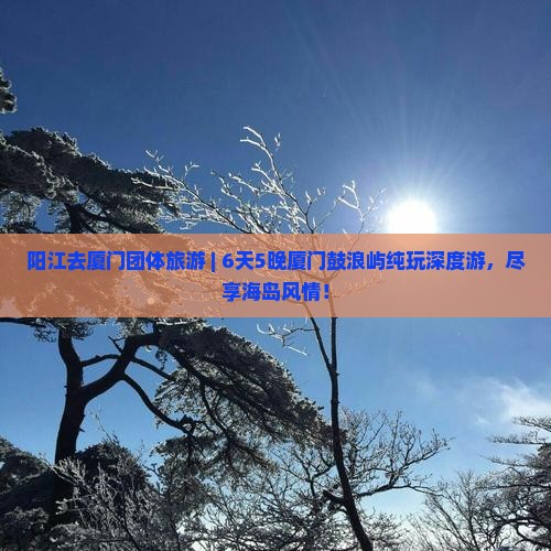 阳江去厦门团体旅游