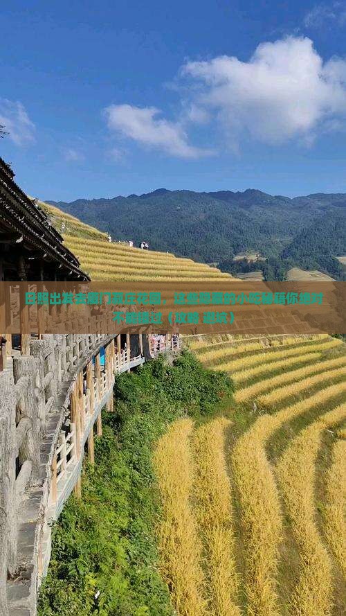 日照去厦门菽庄花园旅游小吃
