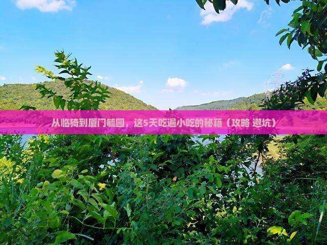 临猗到厦门毓园旅游小吃