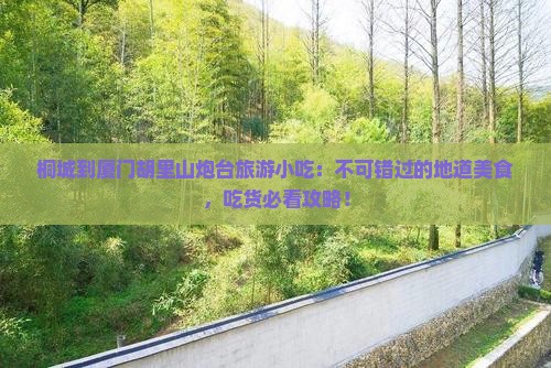 桐城到厦门胡里山炮台旅游小吃