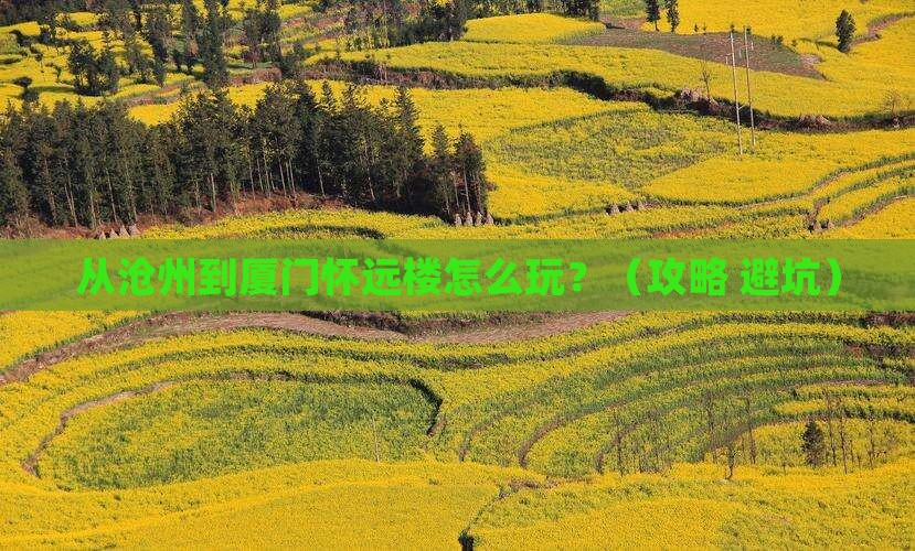 沧州去厦门怀远楼一日