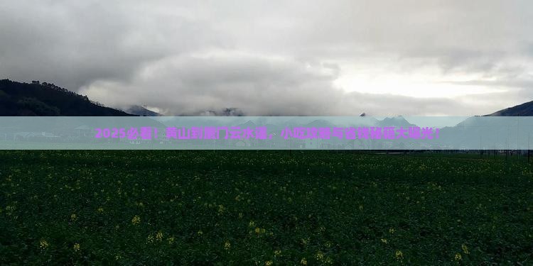 黄山去厦门云水谣旅游小吃