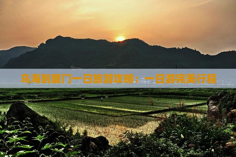 乌海到厦门一日