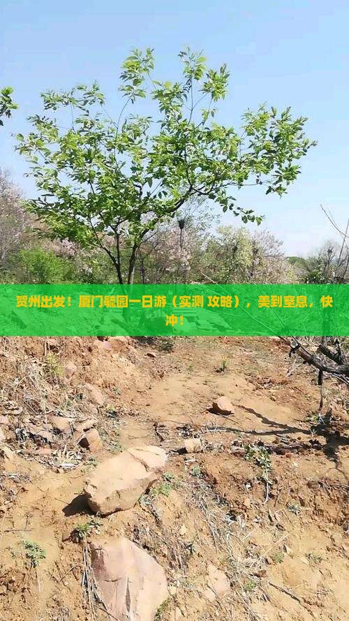 贺州去厦门毓园一日