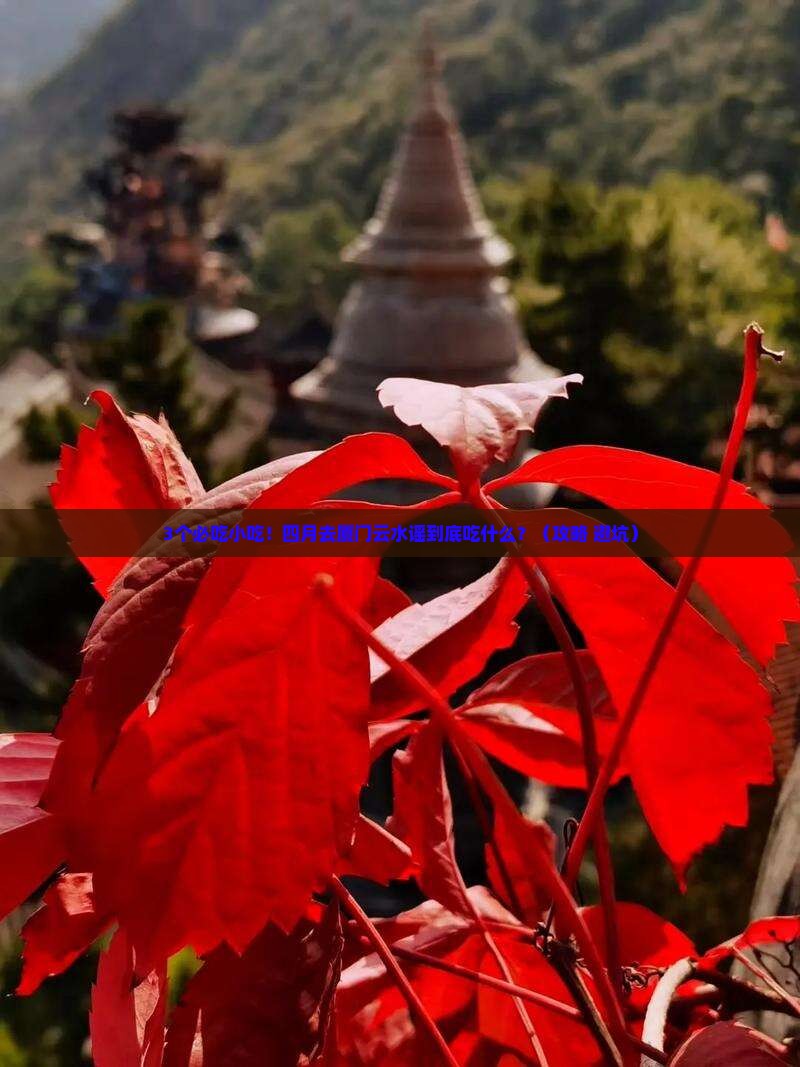 四月到厦门云水谣旅游小吃