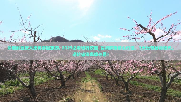 深圳到西安大唐芙蓉园旅游