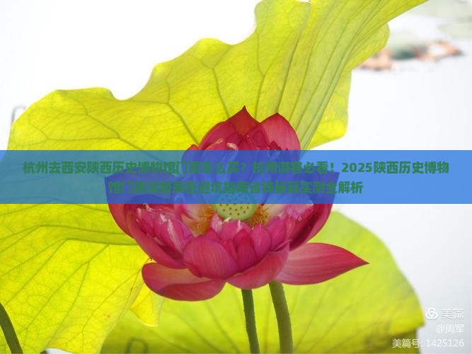 杭州去西安陕西历史博物馆门票
