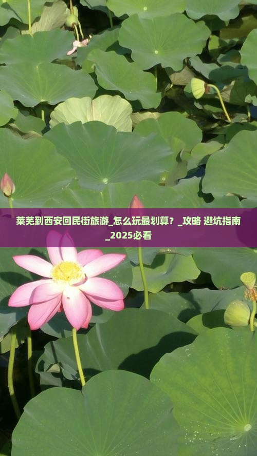 莱芜到西安回民街旅游 莱芜到西安回民街旅游