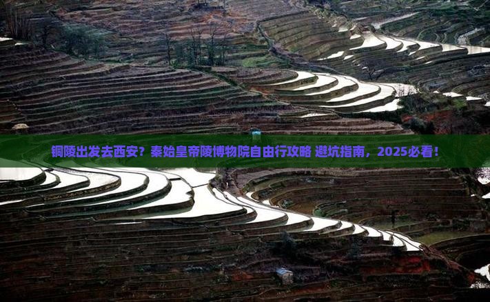 铜陵到西安秦始皇帝陵博物院自由行