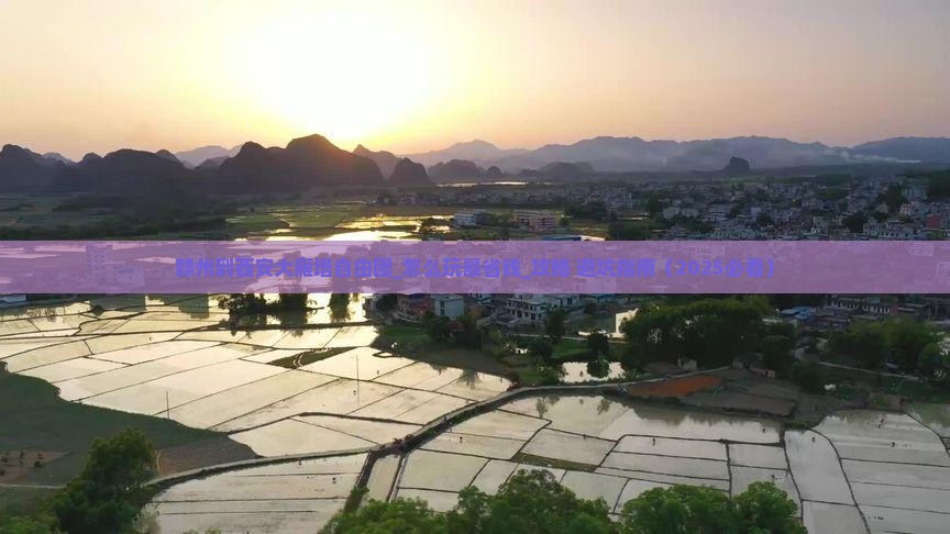 赣州到西安大雁塔自由团