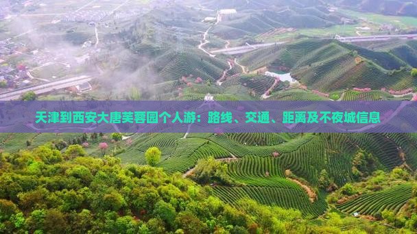 天津到西安大唐芙蓉园个人游