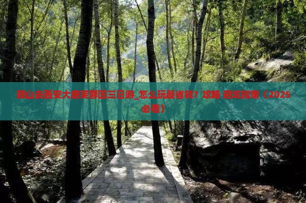 鞍山去西安大唐芙蓉园三日游