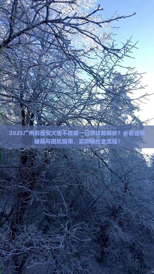 广州到西安大唐不夜城一日游 广州到西安大唐不夜城一日游