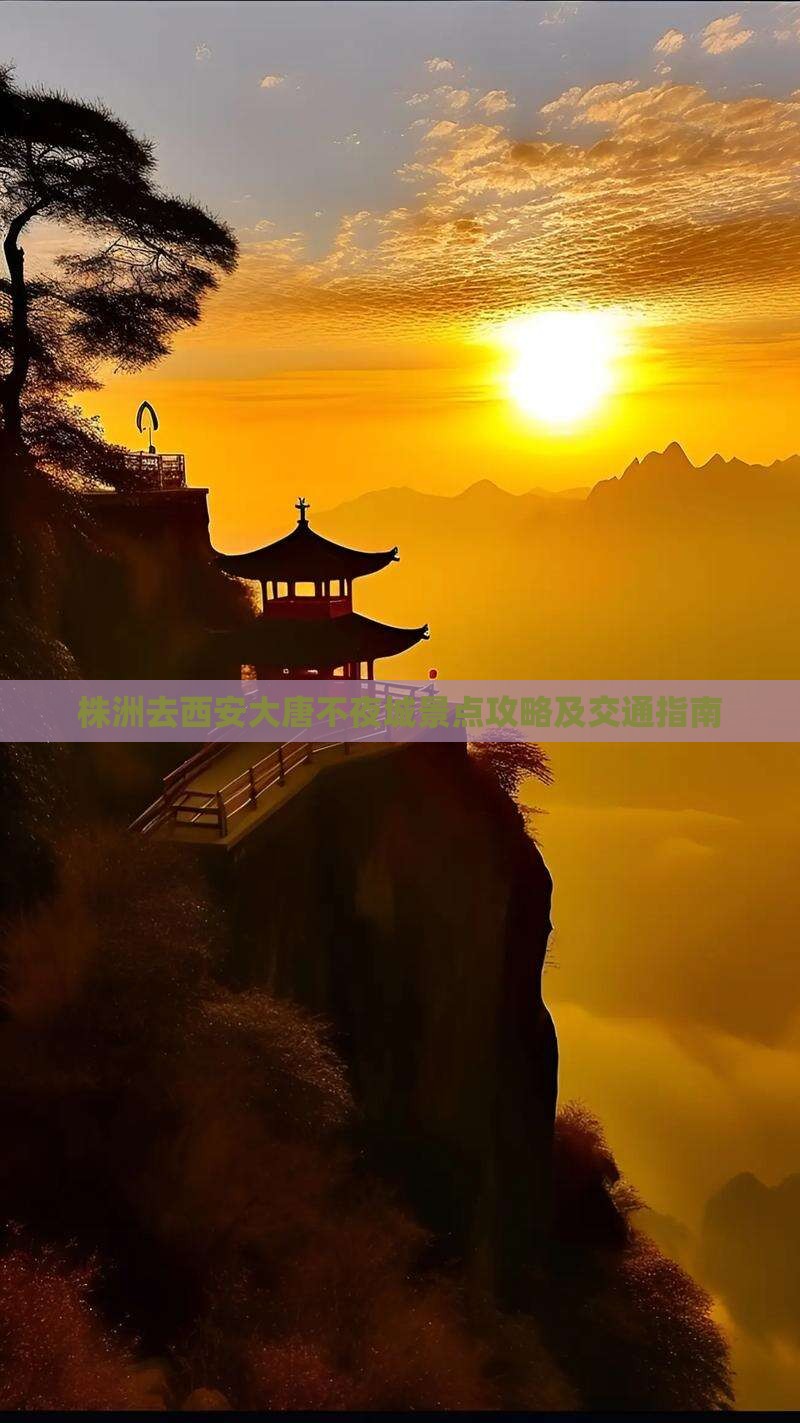 株洲去西安大唐不夜城景点