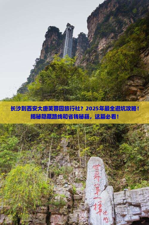 长沙到西安大唐芙蓉园旅行社