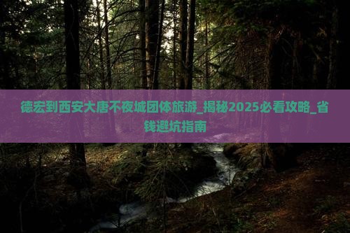 德宏到西安大唐不夜城团体旅游