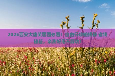 来宾到西安大唐芙蓉园自由团